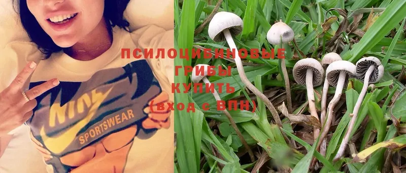 цена наркотик  площадка какой сайт  Галлюциногенные грибы MAGIC MUSHROOMS  Нягань 